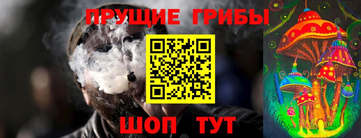 Псилоцибиновые грибы прущие грибы  Вход с VPN  Дербент 