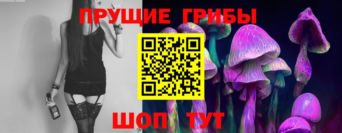Галлюциногенные грибы ЛСД Дербент